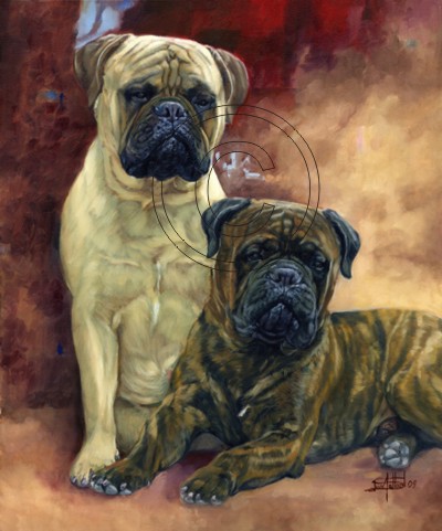 Bullmastiffs - Fawn & Brindle